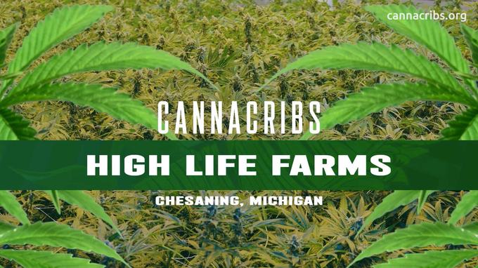 High Life Farms on Canna Cribs